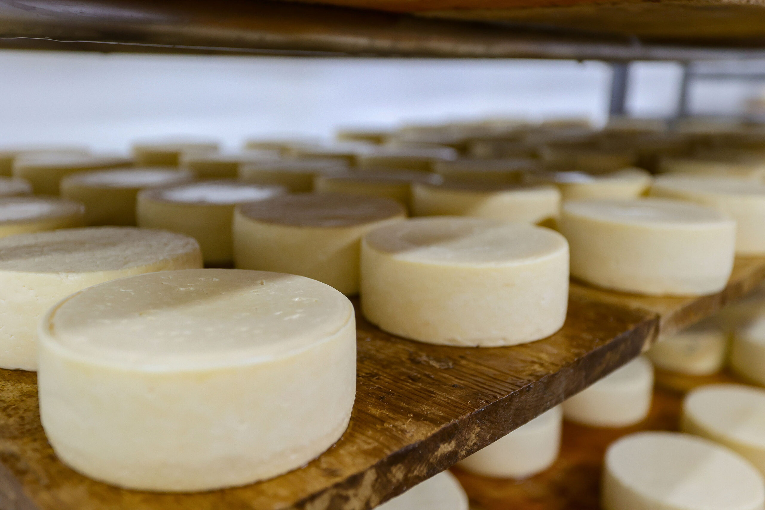 Witmarsum, Indicação Geografica dos queijos.
Foto GilsonAbreu/Aen