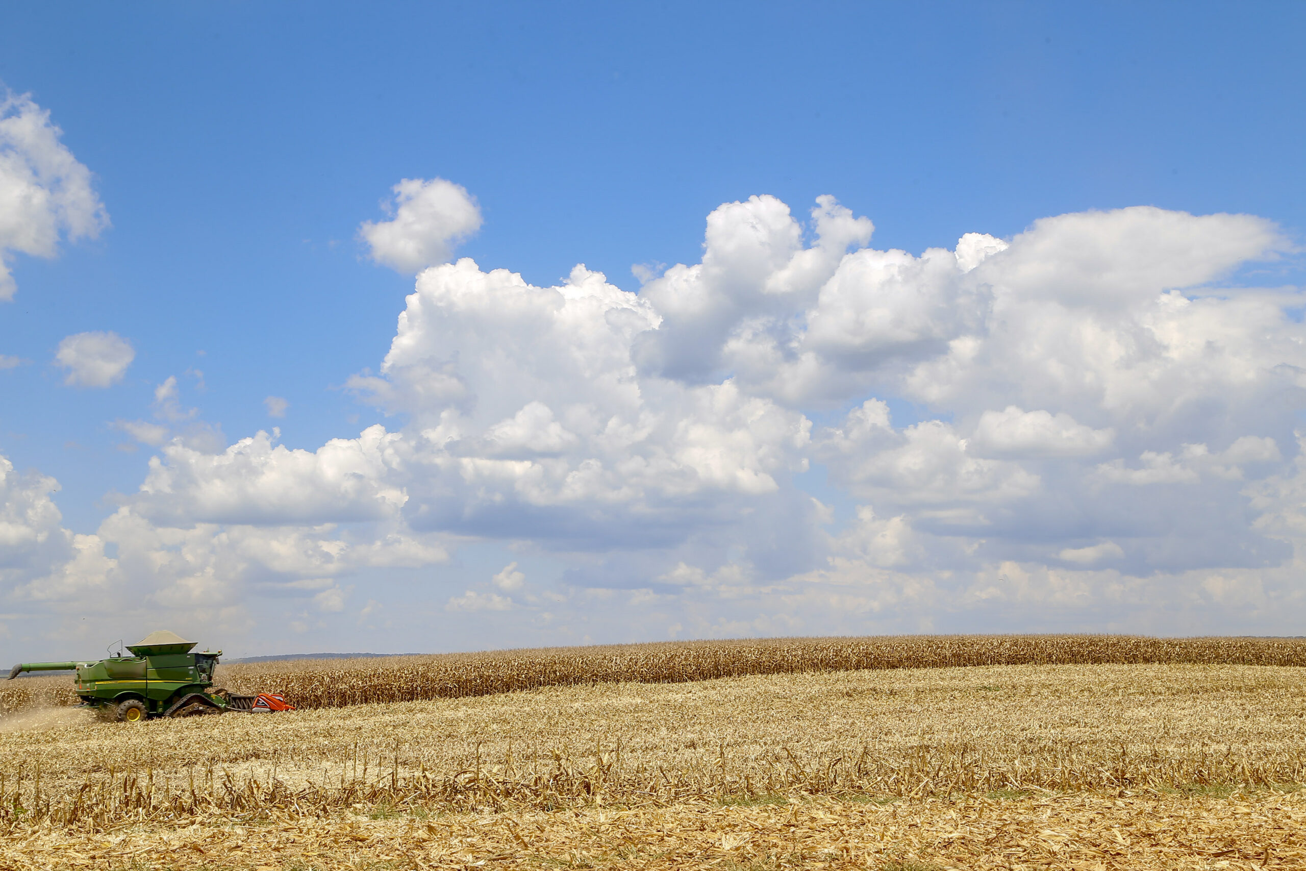 Colheita de milho - 2021. Foto: Gilson Abreu/AEN
