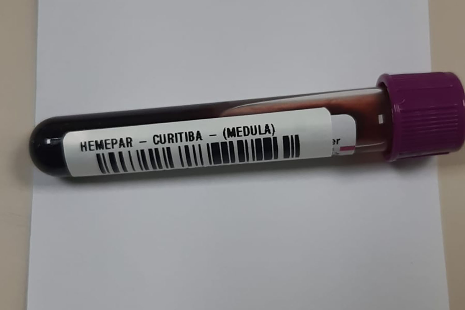 Em seis meses, cadastro de medula óssea no Paraná originou seis transplantes exitosos pela compatibilidade